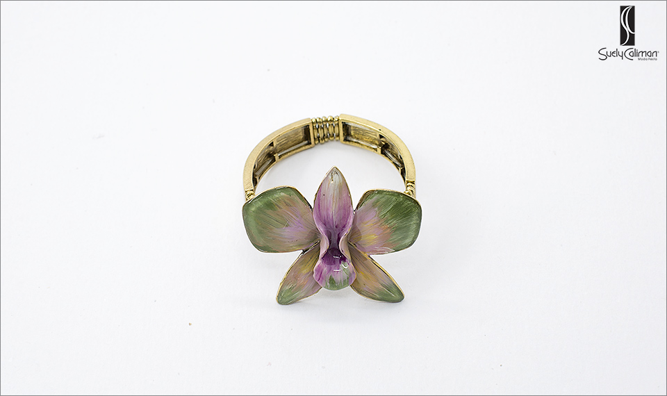 27723_brisoaneissuelycaliman_050_site